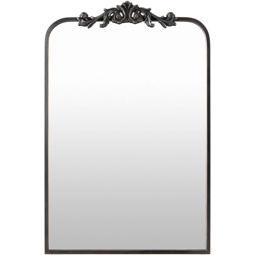 Aarlen 36 X 23.63 inch Antiqued Wall Mirror