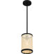 Syrah 1 Light 6 inch Matte Black Mini Pendant Ceiling Light