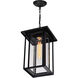 Crawford 1 Light 9 inch Black Outdoor Hanging Light