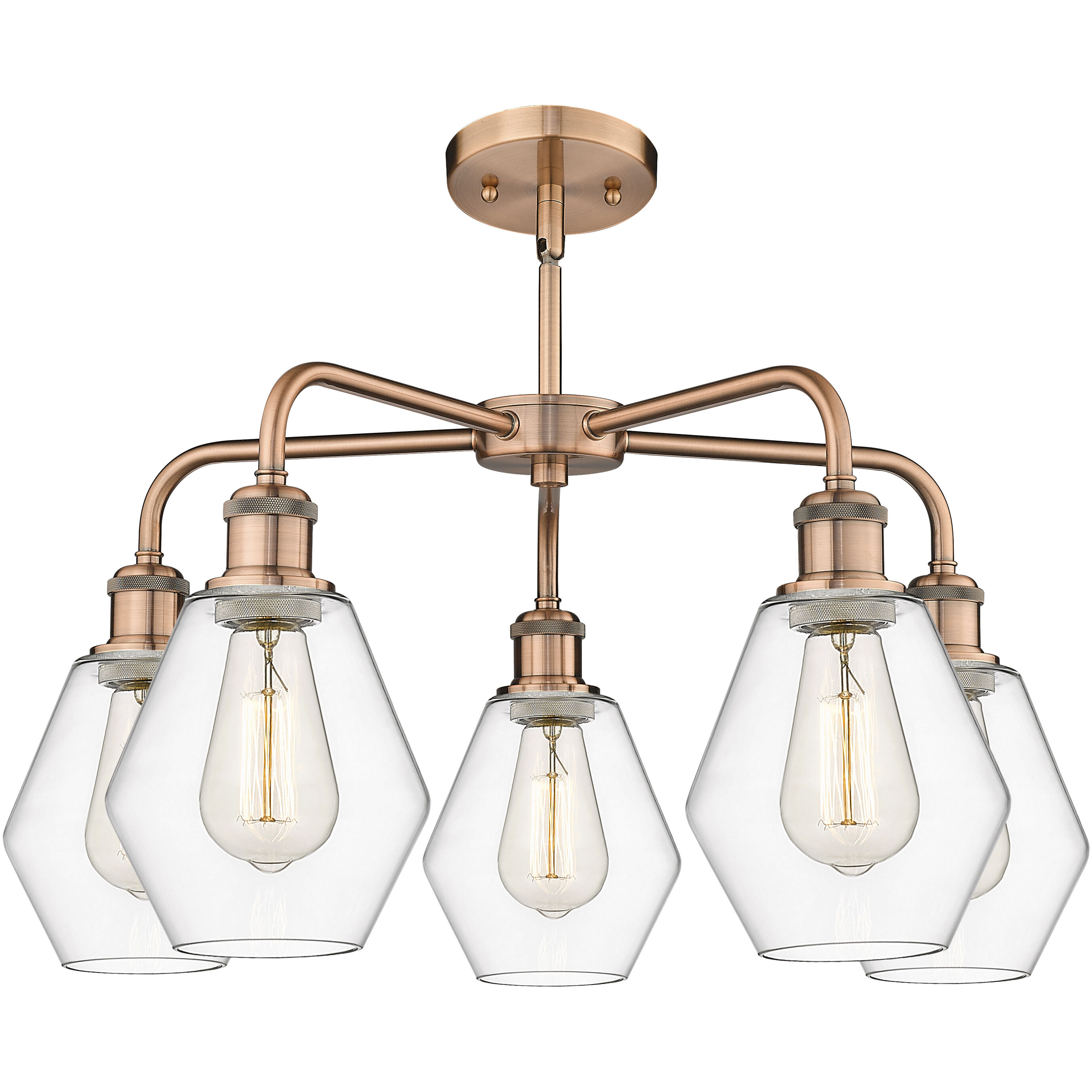Cindyrella 5 Light 24 inch Antique Copper Chandelier Ceiling Light in Clear