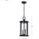 Broadstone 2 Light 8.63 inch Matte Black Outdoor Hanging Light