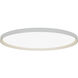 Bina LED 32 inch White Surface Mount Ceiling Light