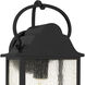 Damian 1 Light 15 inch Matte Black Outdoor Wall Lantern