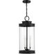 Englewood 3 Light 10.5 inch Black Outdoor Hanging Lantern
