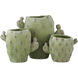 Cactus 8.25 X 6 inch Vase, Set of 3