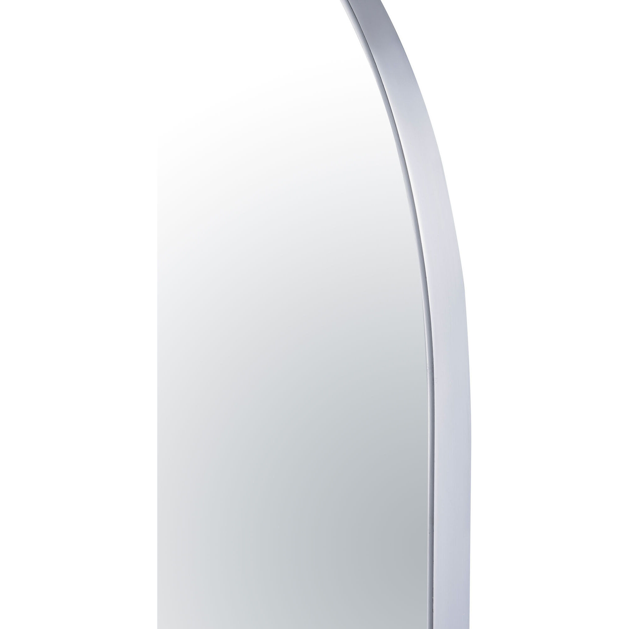 Capsule 40 X 22 inch Chrome Wall Mirror in Painted Chrome