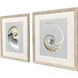 Neutral Nautilus Gray and Beige and Multi and Neutral Framed Art, Propac