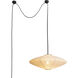 Roswell LED 10 inch Matte Black Pendant Swag Light Ceiling Light