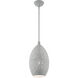 Charlton 1 Light 9 inch Nordic Gray with Brushed Nickel Accents Pendant Ceiling Light