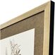 Neutral Botanical Brown and Beige and Metallic and Sepia Framed Art
