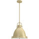 Bridgemoor 2 Light 14 inch Modern Brass Pendant Ceiling Light