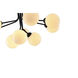 Canada 9 Light 23.6 inch Black Chandelier Ceiling Light
