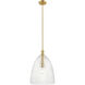 Transitional 1 Light 14 inch Natural Brass Pendant Ceiling Light