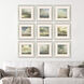 NULL Neutral Framed Art, Propac