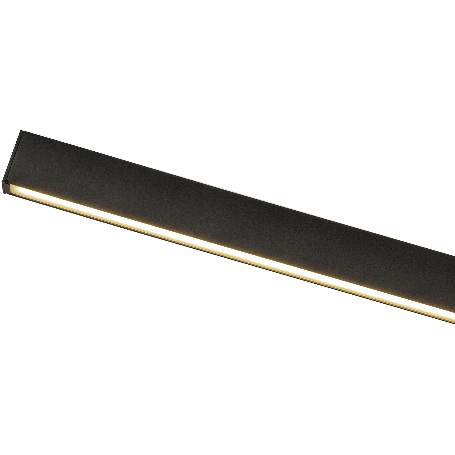 Vera Bath Vanity Light Wall Light in Black