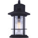 Madison 1 Light 13 inch Black Outdoor Wall Light
