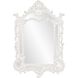 Arlington 49 X 34 inch Glossy White Wall Mirror