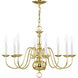 Williamsburgh 8 Light 26 inch Polished Brass Chandelier Ceiling Light