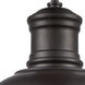 Cedar Park 1 Light 13 inch Oil Rubbed Bronze Outdoor Pendant
