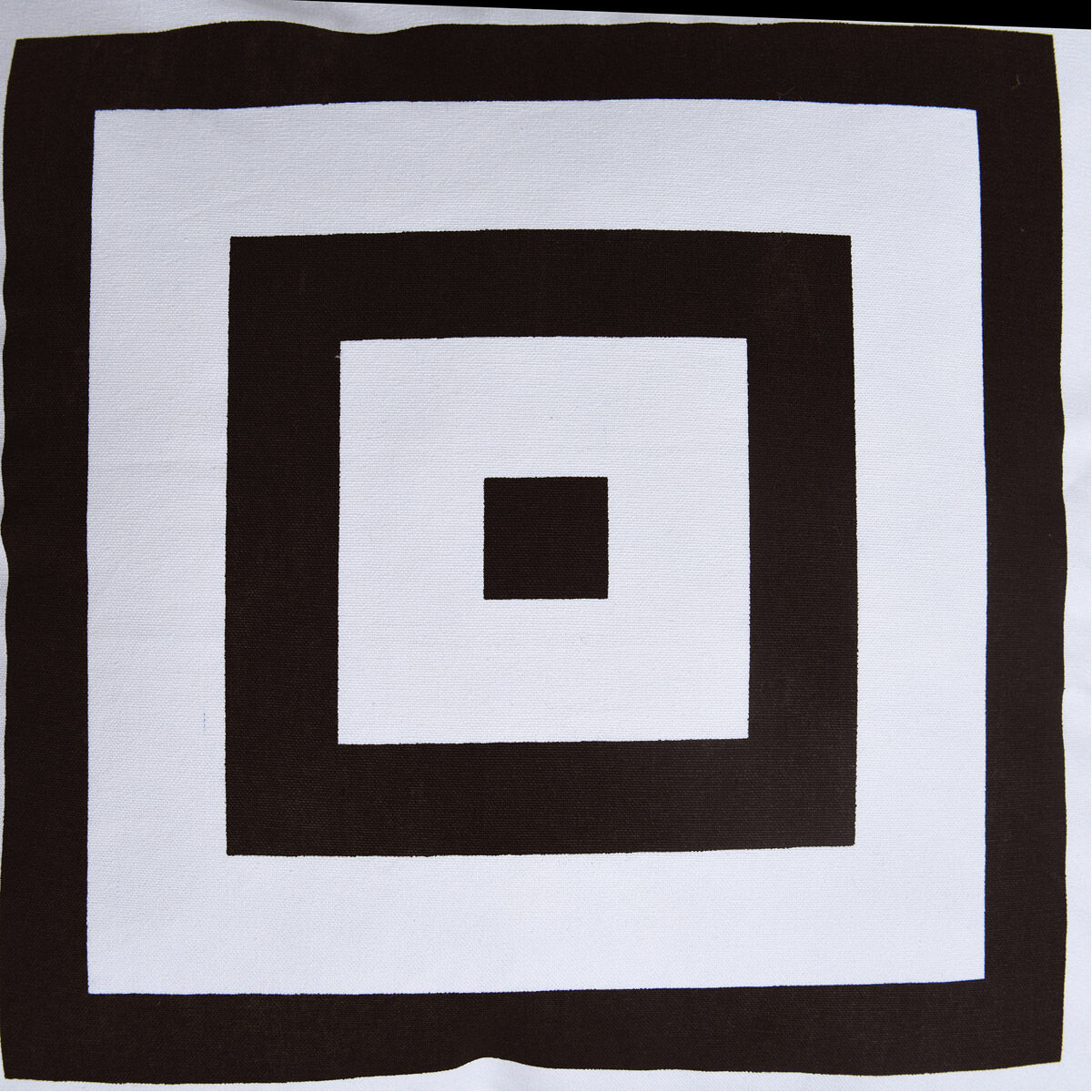 Dann Foley 24 inch Black and White Decorative Pillow