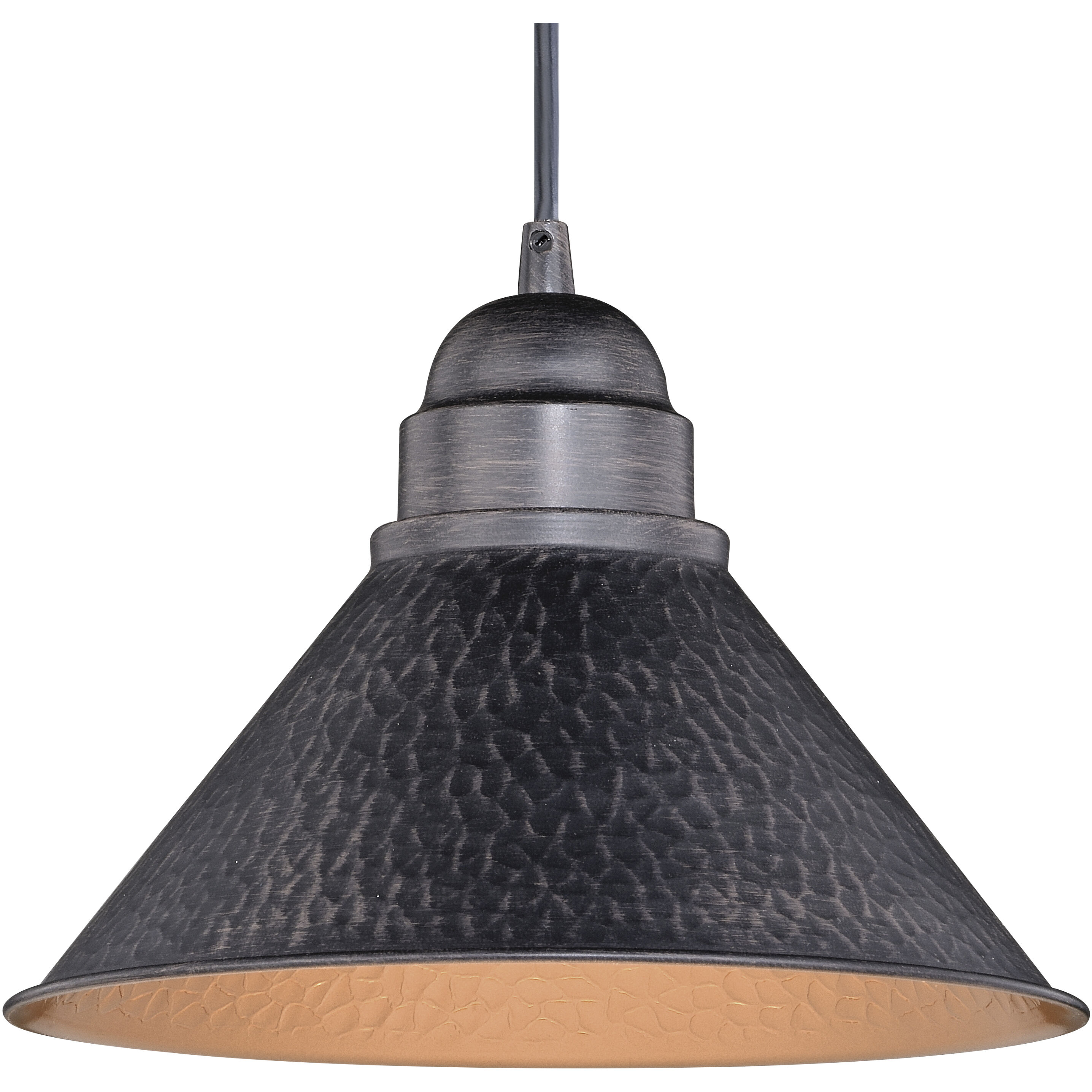 Outland LED 10 inch Aged Iron and Light Gold Outdoor Pendant