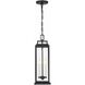 Aspen 4 Light 6.5 inch Matte Black Outdoor Pendant
