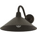 Skyflow 1 Light 10.6 inch Matte Bronze Outdoor Wall Light, Medium