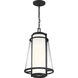 Anau 1 Light 10.5 inch Matte Black and Glass Outdoor Hanging Lantern