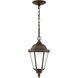 Bakersville 1 Light 7.88 inch Antique Bronze Outdoor Pendant