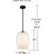 Evelynn 1 Light 10 inch Matte Black Mini Pendant Ceiling Light