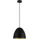 Sarabia 1 Light 10.83 inch Black and Gold Pendant Ceiling Light