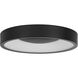 Stellar LED 14 inch Sand Black Outdoor Flush Mount