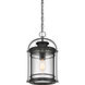 Booker 1 Light 11 inch Mystic Black Hanging Lantern Ceiling Light