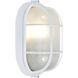Nauticus 1 Light 6.5 inch White Outdoor Wall Sconce in Incandescent