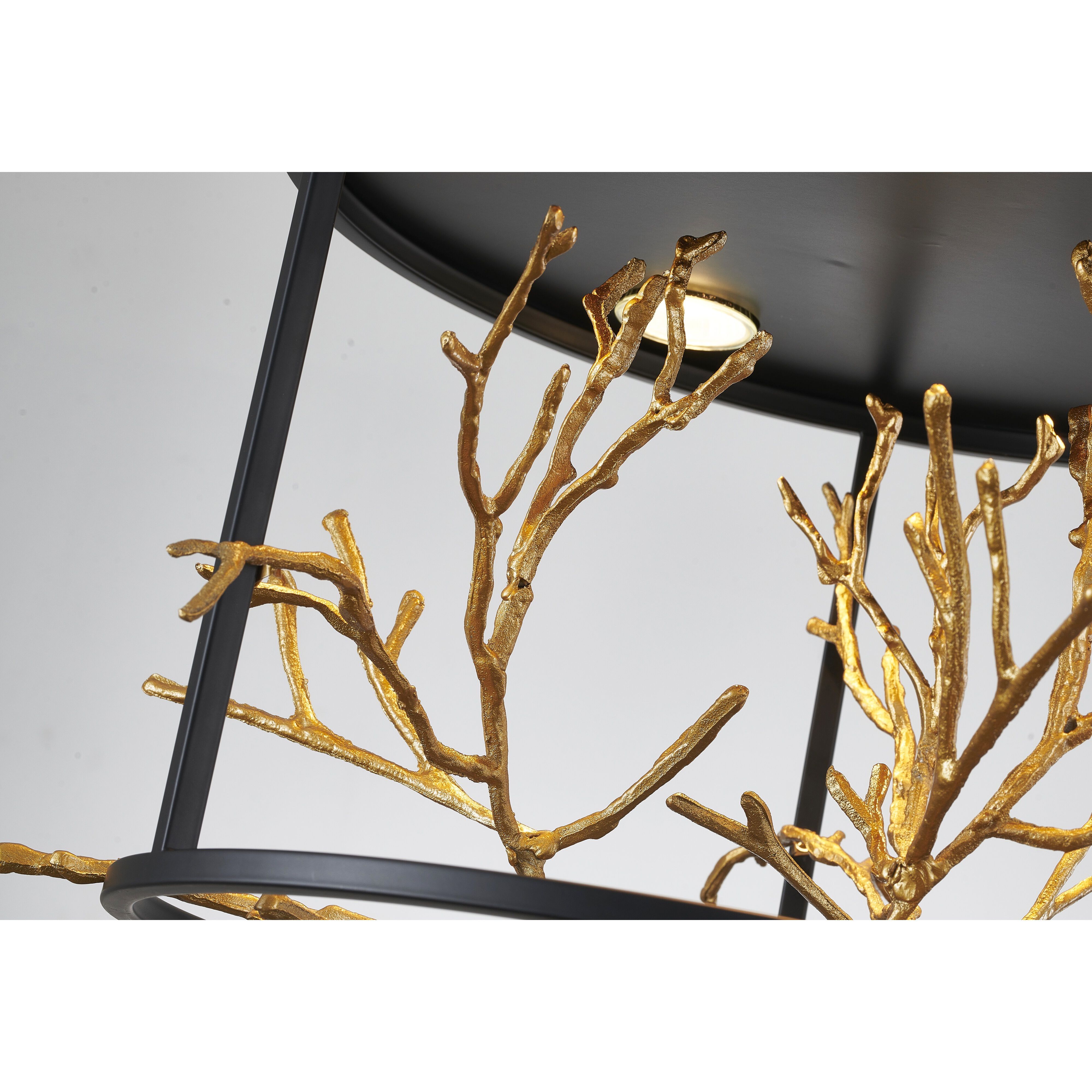 Canada Pendant Ceiling Light in Matte Black