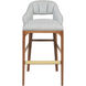 Inga 38 inch Morel Brown/Brushed Brass/Greenlight Powder Bar Stool