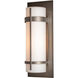 Banded 1 Light 20.8 inch Coastal Dark Smoke Outdoor Sconce, Large - Open Box