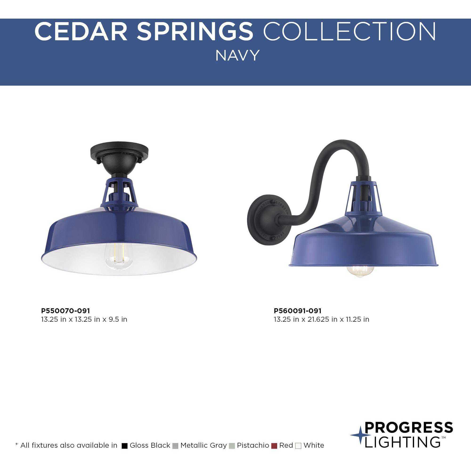 Cedar Springs 1 Light 13 inch Navy Outdoor Semi-Flush Mount