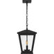 Joffrey 2 Light 10.5 inch Matte Black Outdoor Hanging Lantern, Large