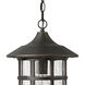 Freeport 1 Light 10 inch Oil Rubbed Bronze Outdoor Hanging Lantern