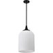 Solara 12 inch Matte Black Pendant Ceiling Light