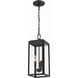 Byron 3 Light 7.5 inch Matte Black Outdoor Pendant