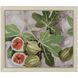 Decorative Fig I 40.5 X 34.5 inch Print