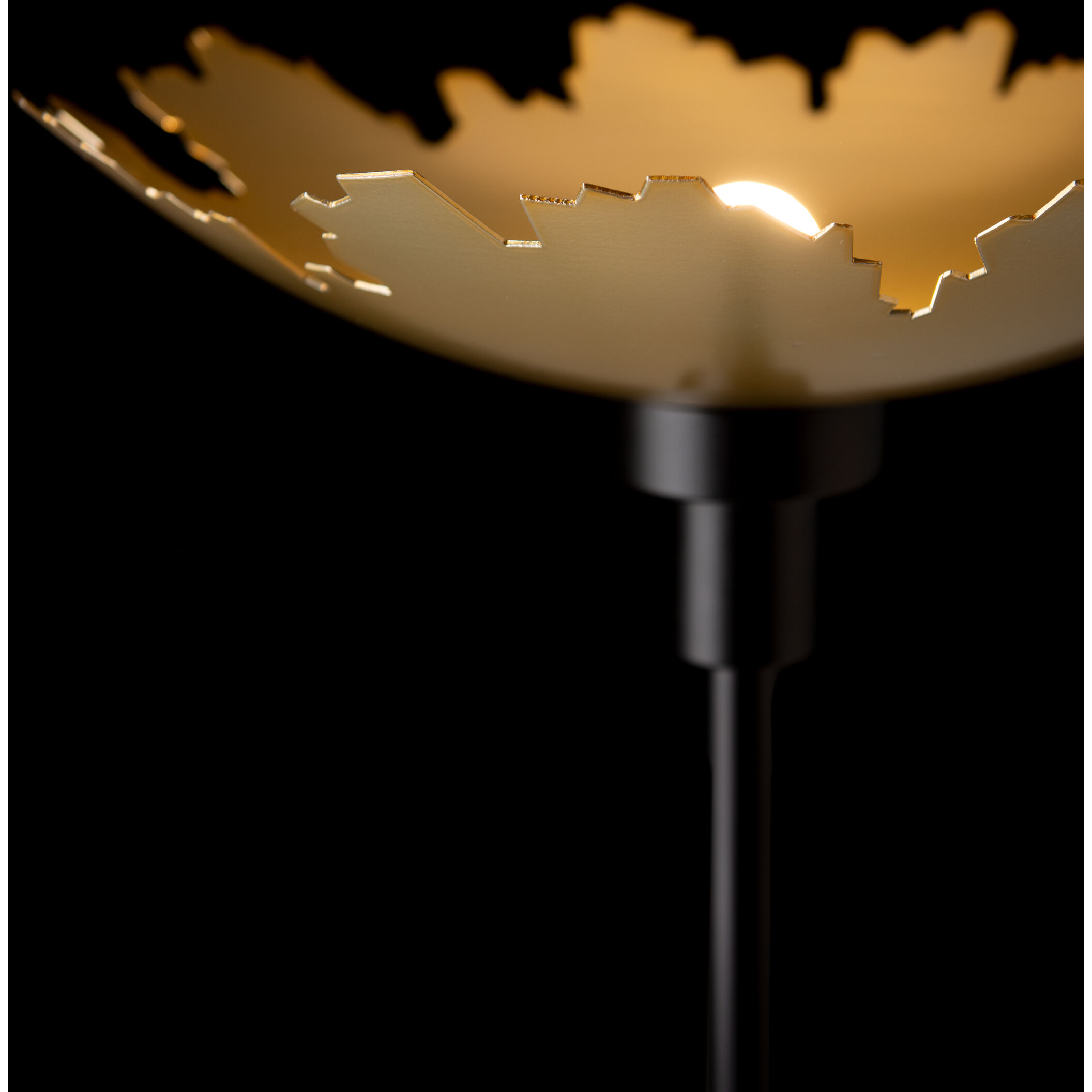 Pangea 83.4 inch 60.00 watt Black with Modern Brass Torchiere Portable Light in Black/Modern Brass