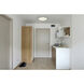 Zenon LED 16 inch Brushed Steel Flush Mount Ceiling Light
