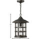 Freeport 1 Light 10 inch Oil Rubbed Bronze Outdoor Hanging Lantern