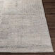 Rosario 36 X 24 inch Charcoal Rug in 2 x 3, Rectangle