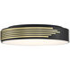 Maestro LED 14 inch Black Flush Mount Ceiling Light