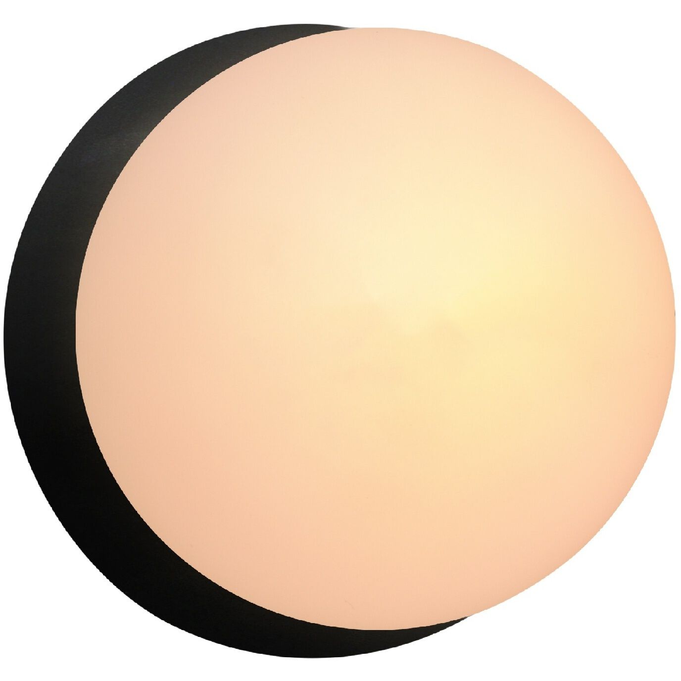 Ambiance LED 4.5 inch Carbon Matte Black Wall Sconce Wall Light