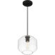 Clarity 10 inch Black Pendant Ceiling Light
